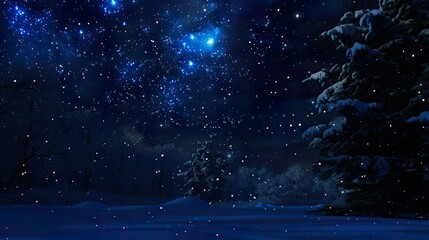 Wall Mural - Empty_night_nature_scene._The_night_starry_sky_the