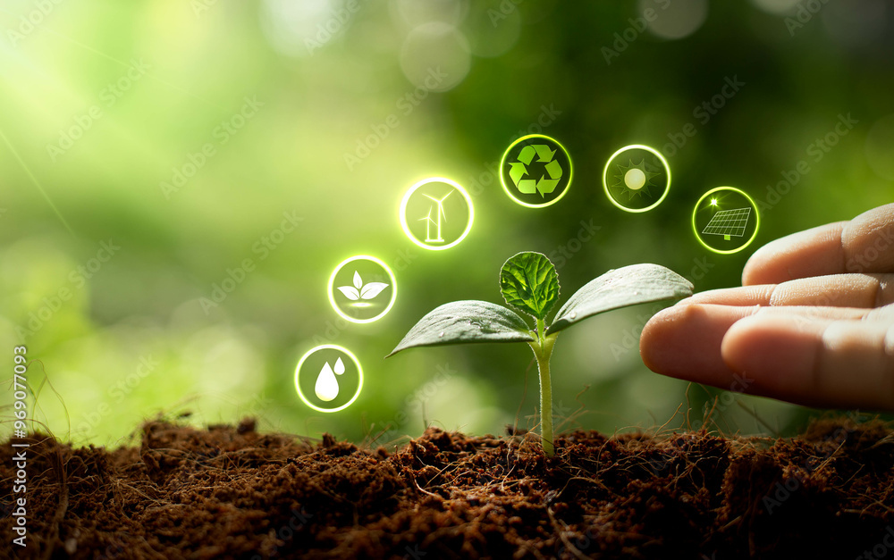Protecting Environment Icon Growing plant or protecting environment icons. Sustainable environment ...