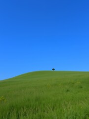 Wall Mural - A lone tree stands tall on a grassy hill against a bright blue sky.