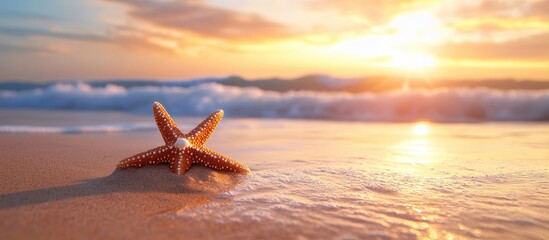 Aufkleber - Starfish on a tropical beach ocean waves during a warm sunset Ideas related to travel vacations and holidays. with copy space image. Place for adding text or design
