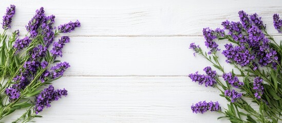 Wall Mural - purple flowers on a white wooden surface. with copy space image. Place for adding text or design