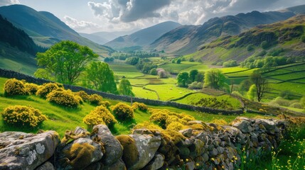 Wall Mural - Beautiful scenery of mountain valley with clean lake in spring.Blue sky with few clouds over green hills.