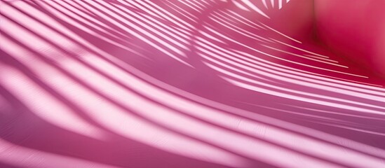 Leinwandbilder - A collection of vivid shadows on a pink background in close up with copy space