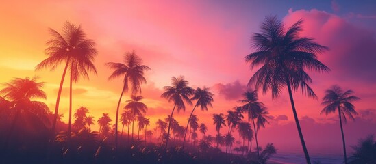 Aufkleber - Dark outlines of coconut palm trees set against a vibrant sunset sky on a tropical island Background for vacation and exotic travel concepts. with copy space image. Place for adding text or design