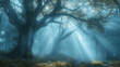 © Xingguo - Magical sunbeams shining through a dense forest, creating a stunning Tyndall effect with mist swirling in the air and illuminating the woodland floor.