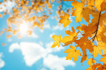 Wall Mural - autumn background with blurred autumn leaves and sun rays on a blue sky