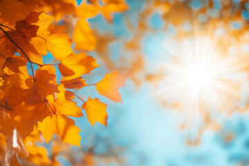 Wall Mural - autumn background with blurred autumn leaves and sun rays on a blue sky