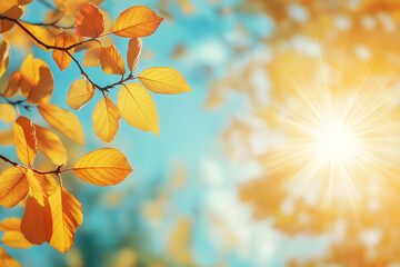 Wall Mural - autumn background with blurred autumn leaves and sun rays on a blue sky