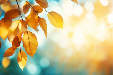 Wall Mural - autumn background with blurred autumn leaves and sun rays on a blue sky