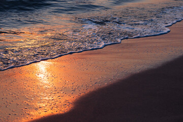 Wall Mural - Natural background with shore water and shiny wet beach sand