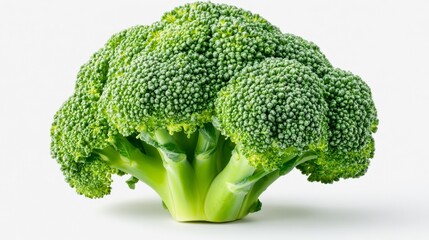 Fresh broccoli head with vibrant green color isolated background