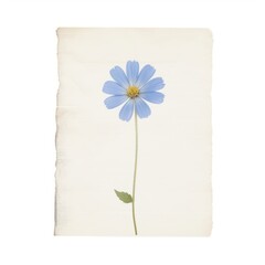 Poster - Blue flower ephemera asteraceae blackboard blossom.