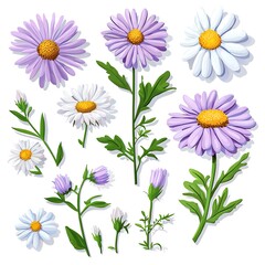 Wall Mural - A vibrant collection of wildflowers featuring beautiful daisies in various colors and sizes, perfect for nature-themed designs.