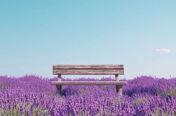 Serene Lavender Field Under a Clear Blue Sky with an Empty Bench for Relaxing in Nature