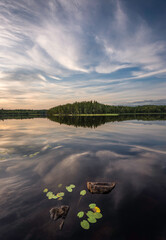 lake in the forest