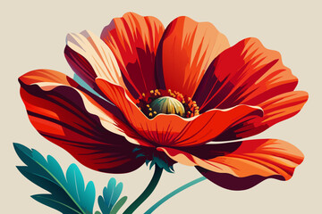 Wall Mural - Poppy Flower Illustration on White Background