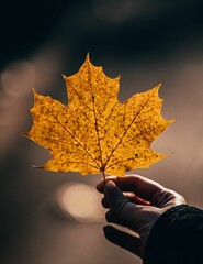 Canvas Print - Close-up of a person holding a yellow autumn leaf against a blurred background.