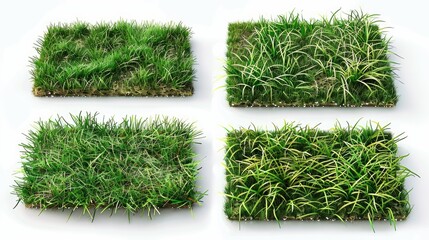 Wall Mural - A set of four squares of grass on a white background, suitable for decoration or design