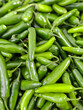 © Narayan - green chili for spicy mexican food, spicy concept