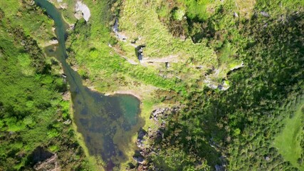 Wall Mural - pond and green Lake in La Arboleda surrounded by lush green hills on a sunny day in Bizkaia, Spain