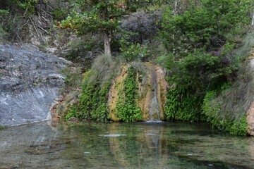 Wall Mural - Serene natural spring in forest