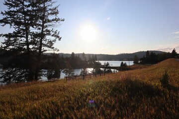 Sticker - Serene lake view under a bright sun