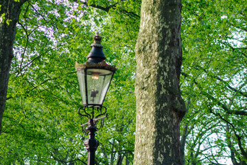 Street light bulb against lush tree at the daytime