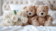 © Hanna - two cute teddy bear toys sit on the clean bed