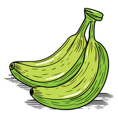 Wall Mural - Hand Drawn Green Banana Cartoon