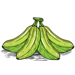 Wall Mural - Hand Drawn Green Banana Cartoon