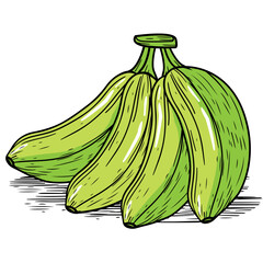 Wall Mural - Hand Drawn Green Banana Cartoon