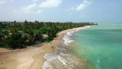 Wall Mural - beach in Loiza, Puerto Rico, with calm sea and greenery, on a sunny day with bright blue sky