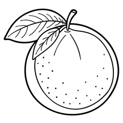 citrus hand draw outline coloring book page line art drawing