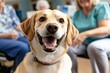 © Sanchai - A pet therapy session in a care home, with a dog happily interacting with residents, bringing smiles and comfort to everyone around