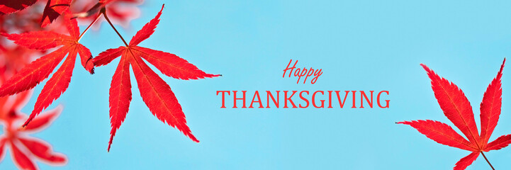 Wall Mural - Text Happy Thanksgiving, web banner with red maple leaves, blue sky background, Canadian or US Thanksgiving header