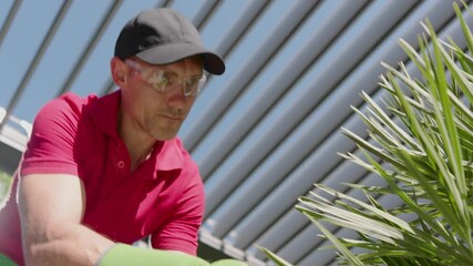 Wall Mural - Gardening Techniques for Healthy Plants in a Backyard Garden on a Sunny Afternoon