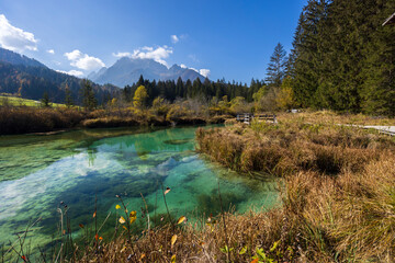 Autumnal landscape in Zelenci, Slovenia