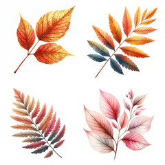 Poster - Cute cartoon set of leaves on white background.AI