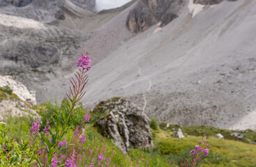 Italy - Dolomites - Three Peaks Nature Park