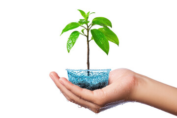 A hand holding a small green plant, symbolizing growth, nurture, and sustainability in a nurturing and eco-friendly setting.