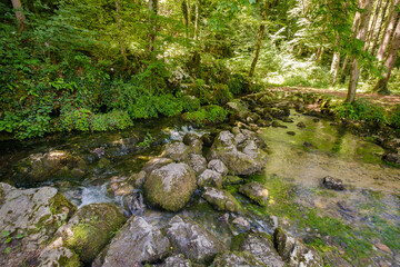 Poster - Krka river spring in Slovenia