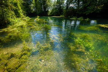 Poster - Krka river spring in Slovenia