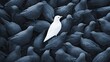 © KYR - White bird amidst gray birds, emphasizing the concept of standing out from the crowd and embracing onea uniqueness in a minimalist scene