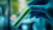 © SC-7 - A scientist, wearing gloves, holds a test tube containing a bacteria sample, conducting medical research and a healthcare study. The doctor closely examines a legionella