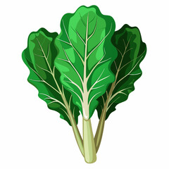 Wall Mural - silver beet