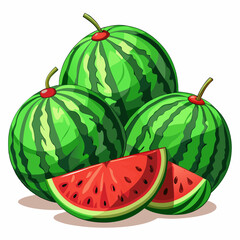 watermelon illustration