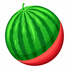 Wall Mural - watermelon illustration