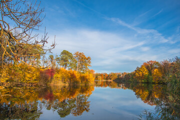 Ingolstadt, beautiful autumn view in the park