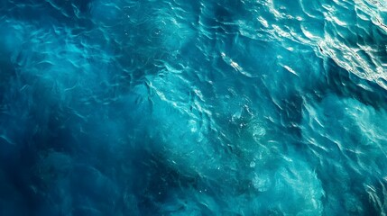 A close-up of the translucent blue water of the ocean, revealing the colorful marine life beneath the surface