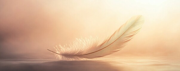 Wall Mural - Delicate feather floating on water, serene